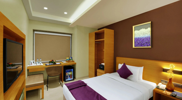 Одноместный номер Executive Hotel Suba Elite Vadodara