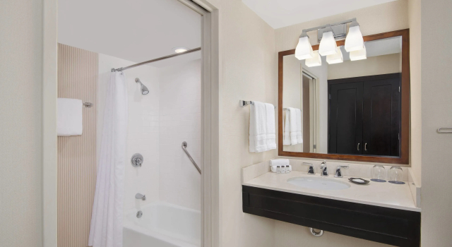 Двухместный номер Standard Downright Austin, a Renaissance Hotel