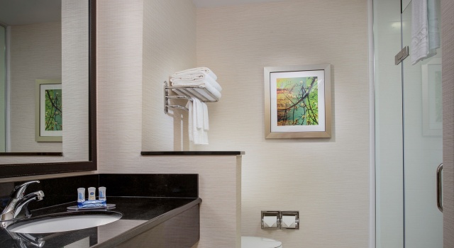 Четырёхместный номер Standard Fairfield Inn & Suites by Marriott Flint Grand Blanc