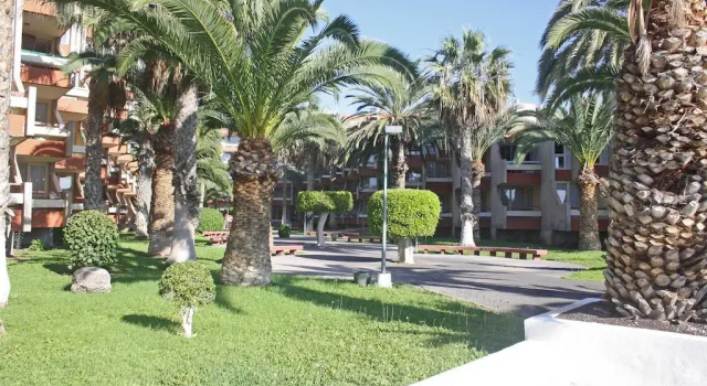 Lovely House Tenerife, Book Lejlighed Costa del Silencio 